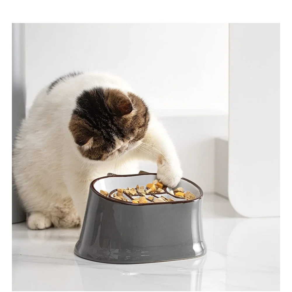 Y YHY Ceramic Fish Bone Slow Feeder Elevated Tilted Neck Protection Dry/Wet Food